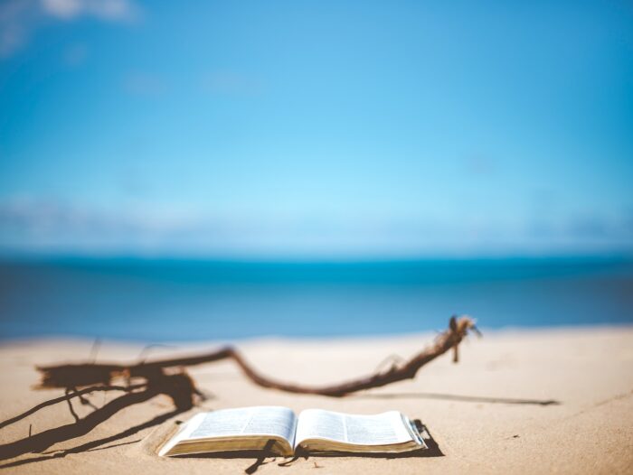 opened book near brown wood branch on sand under blue sky